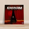 The Eminem Show Canvas Print 6