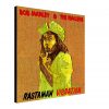 Bob Marley and The Wailers – Rastaman Vibration Canvas Print